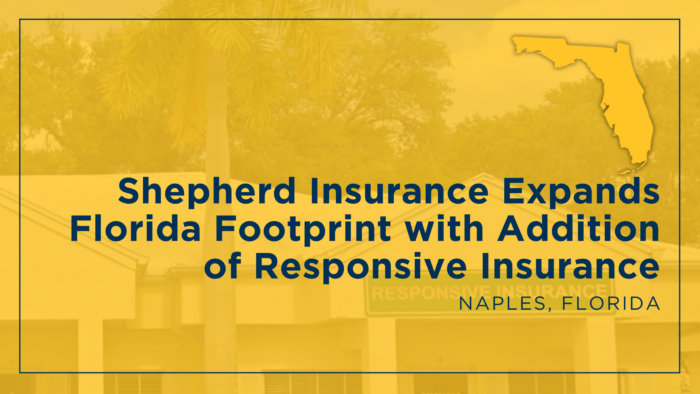 Responsive Insurance