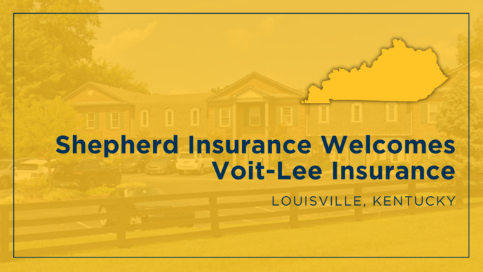 Voit-Lee Insurance
